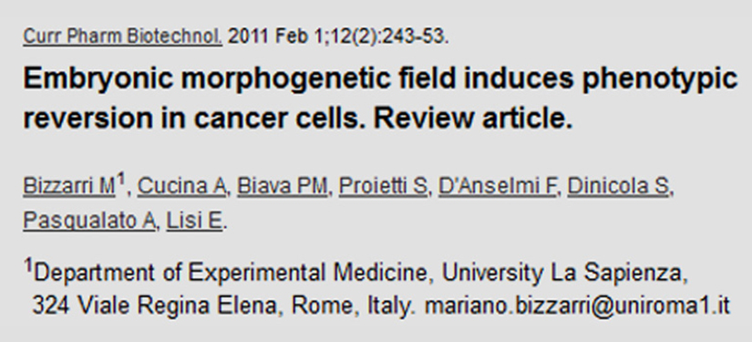 Il campo morfogenetico embrionale induce reversione fenotipica nelle cellule cancerose