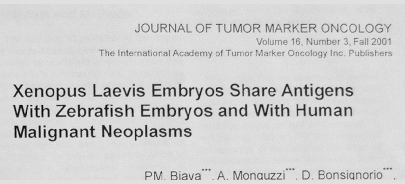 Gli Embrioni di Xenopus Laevis condividono gli antigeni con gli embrioni di Zebrafish e con le neoplasie maligne umane.