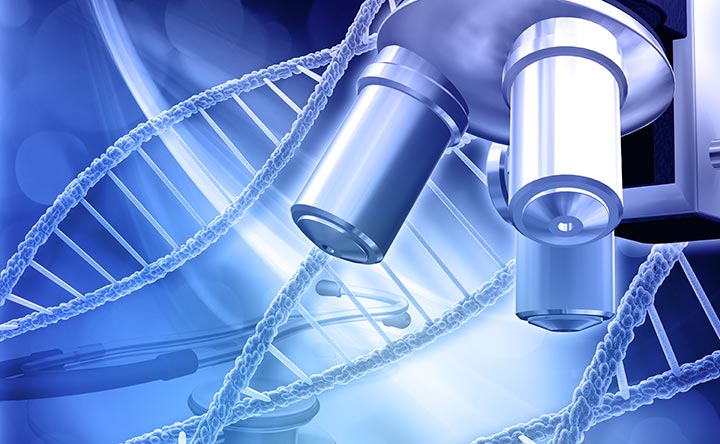 La riparazione del Dna, vista in tempo reale: nuovo potente strumento per studiare l’origine del cancro
