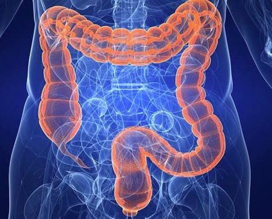 Cancro al colon-retto: prevenirlo a tavola e combatterlo con la rieducazione delle cellule maligne