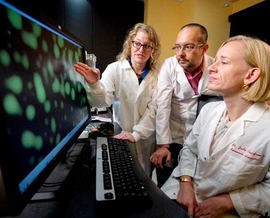 Al via, in 5 Ospedali della Lombardia, lo studio con l’integratore Synchro Levels per contrastare il tumore al pancreas