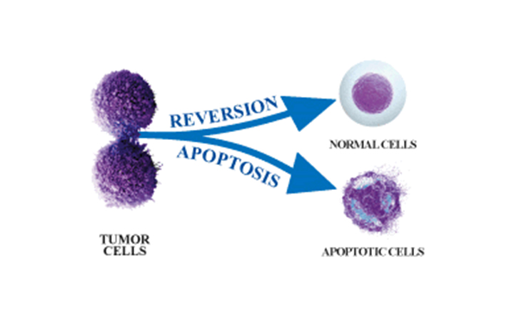 Tecniche rivoluzionarie convertono le cellule del cancro in cellule sane